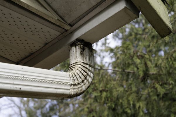 Cost of Roof Drain Replacement in Westminster